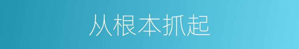 从根本抓起的同义词