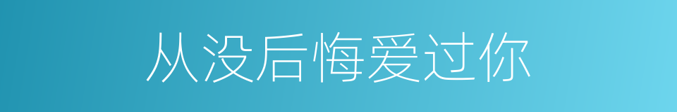 从没后悔爱过你的同义词