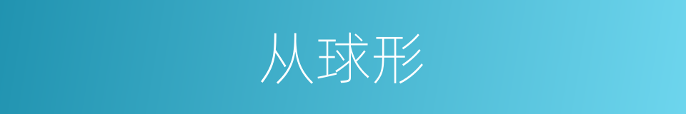 从球形的同义词
