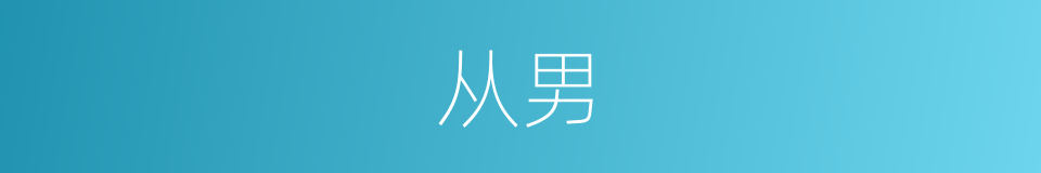 从男的意思
