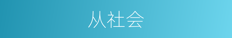 从社会的同义词