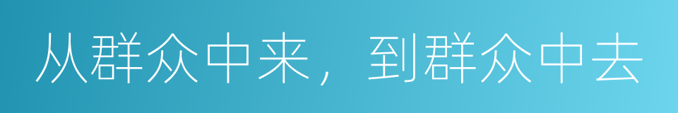 从群众中来，到群众中去的同义词