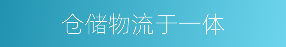 仓储物流于一体的同义词