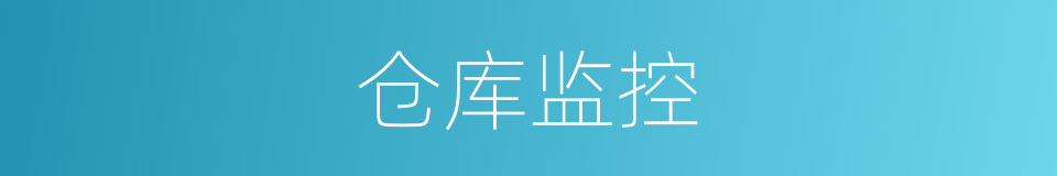 仓库监控的同义词