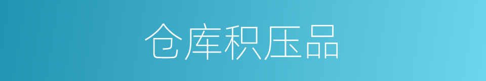 仓库积压品的同义词