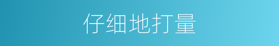 仔细地打量的同义词