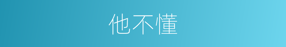 他不懂的同义词
