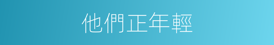他們正年輕的同義詞