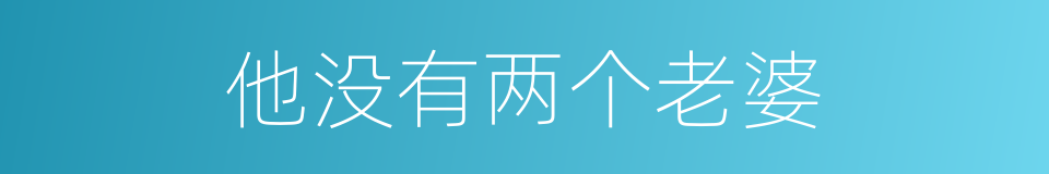 他没有两个老婆的同义词