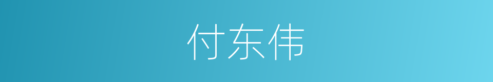 付东伟的同义词