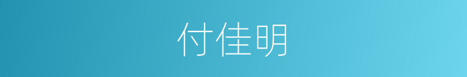 付佳明的同义词