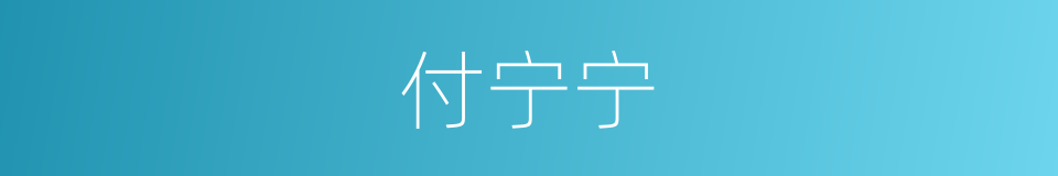 付宁宁的同义词
