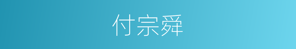 付宗舜的同义词