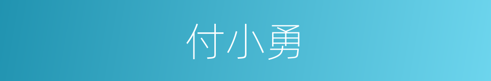 付小勇的同义词