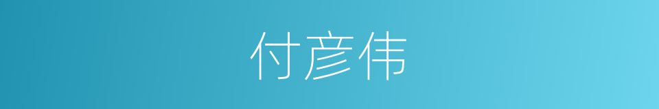付彦伟的同义词