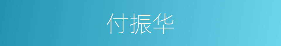 付振华的同义词