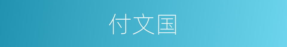 付文国的同义词