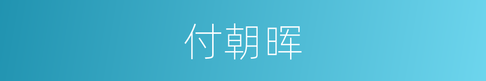 付朝晖的同义词