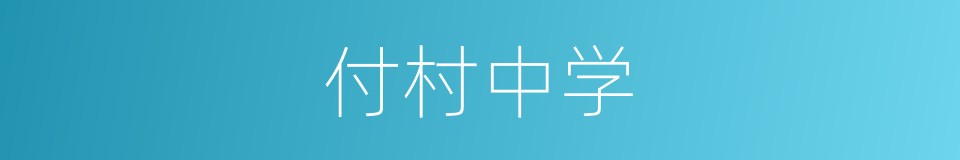 付村中学的同义词