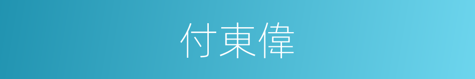 付東偉的同義詞