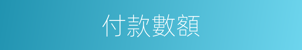 付款數額的同義詞