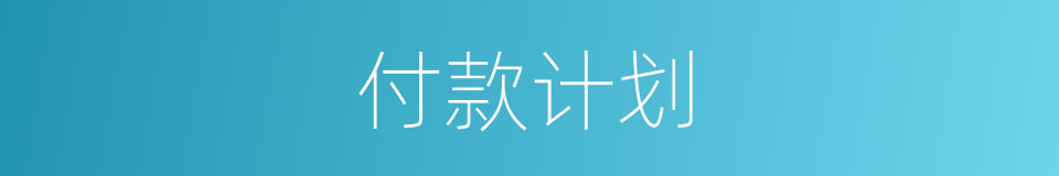 付款计划的同义词