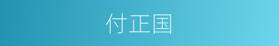 付正国的同义词