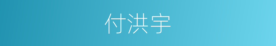 付洪宇的同义词