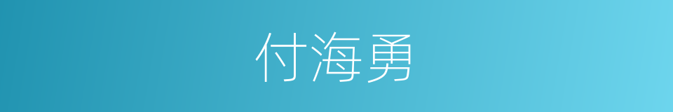 付海勇的同义词