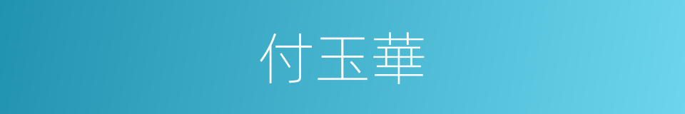付玉華的同義詞