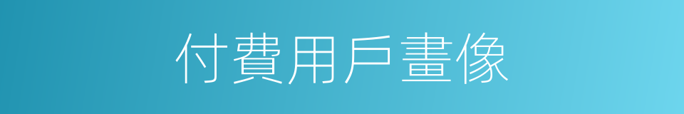 付費用戶畫像的同義詞