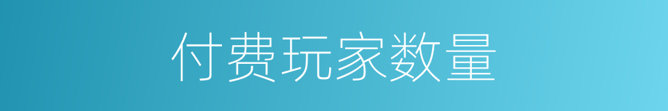 付费玩家数量的同义词