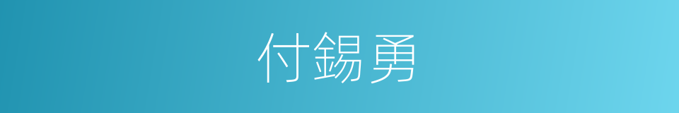 付錫勇的同義詞