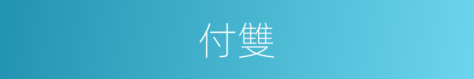 付雙的同義詞