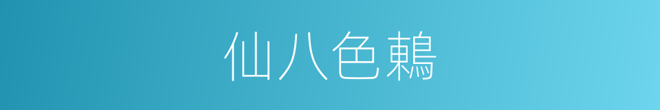 仙八色鶇的同義詞