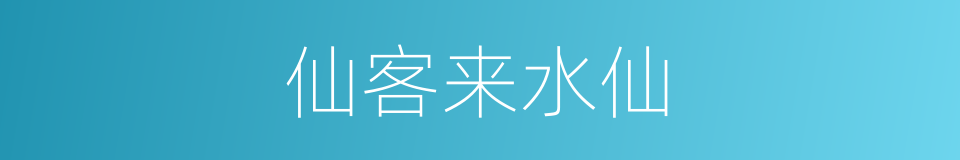 仙客来水仙的同义词