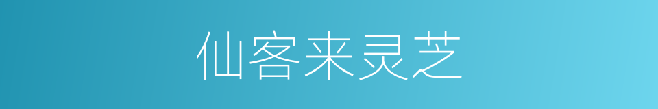 仙客来灵芝的同义词