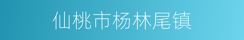 仙桃市杨林尾镇的同义词