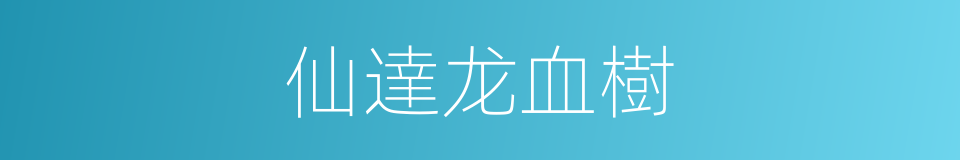 仙達龙血樹的同義詞