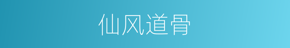仙风道骨的意思