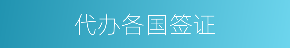 代办各国签证的同义词
