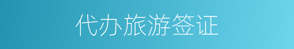 代办旅游签证的同义词