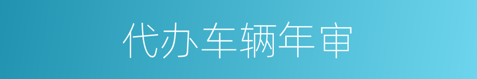 代办车辆年审的同义词