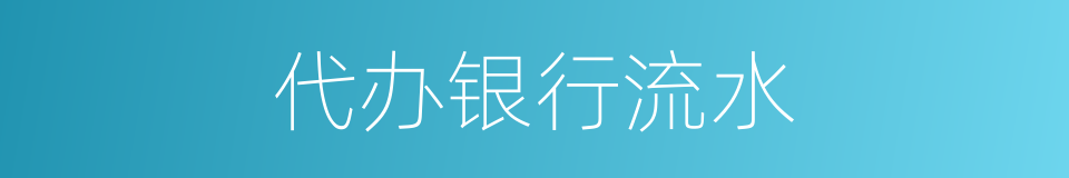 代办银行流水的同义词