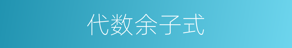 代数余子式的同义词