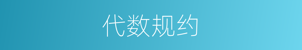 代数规约的同义词