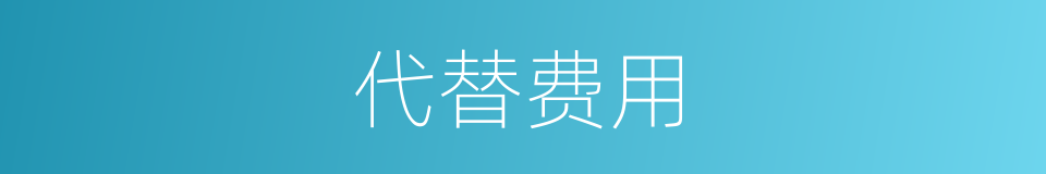 代替费用的同义词