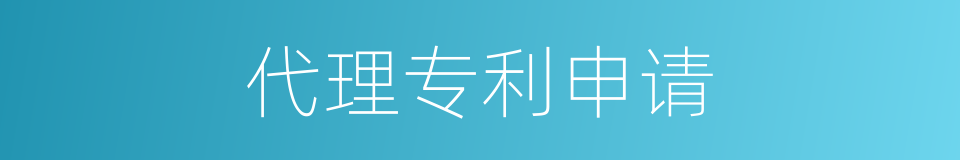 代理专利申请的同义词