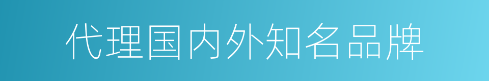 代理国内外知名品牌的同义词