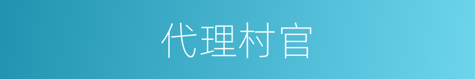 代理村官的同义词